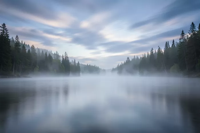 Foggy Shore