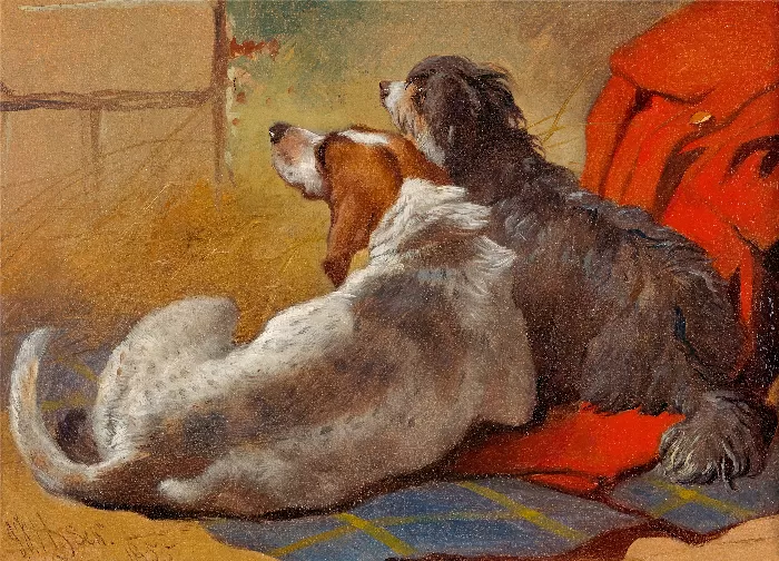 A Hound and a Bearded Collie