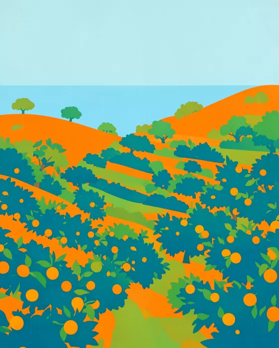 Citrus Coast