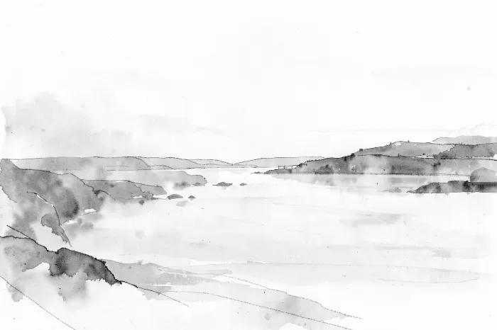 Fog Headlands