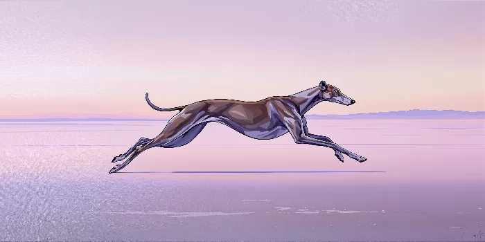 Salt Stride