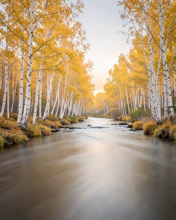 Aspen Creek