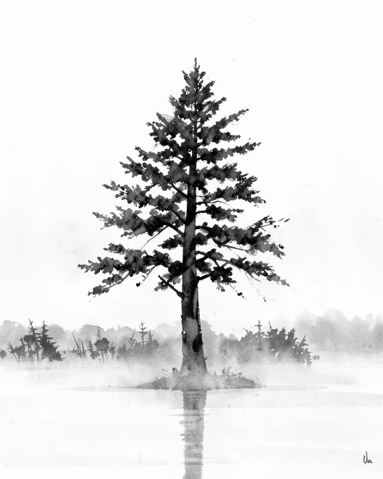 Bayou Cypress