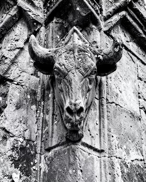 Stone Skull