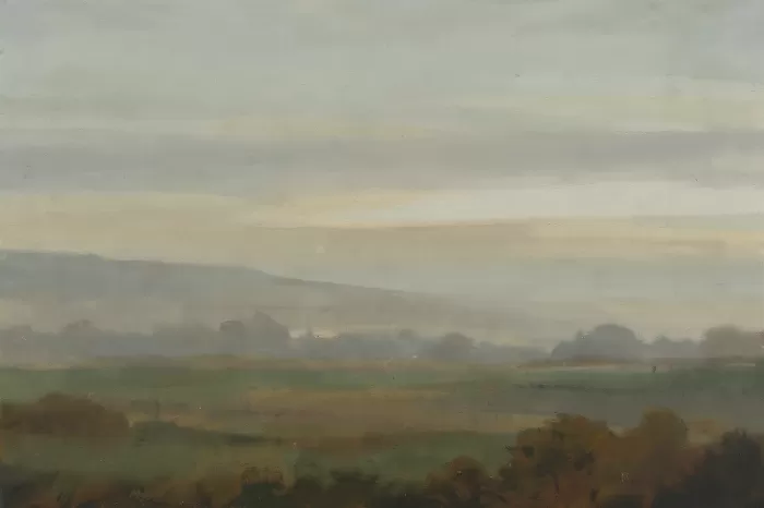 Foggy Fields