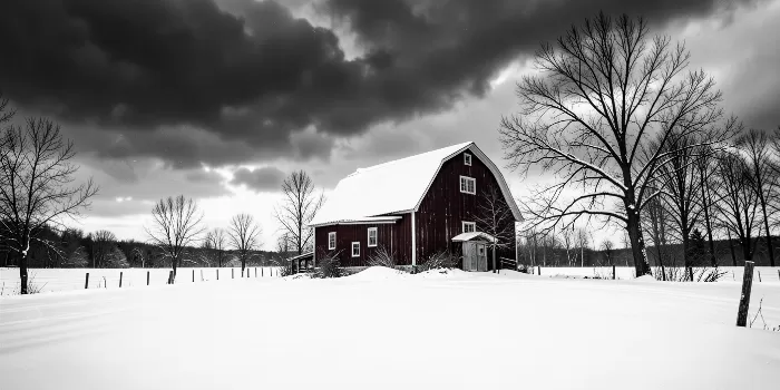 Winter Barn III