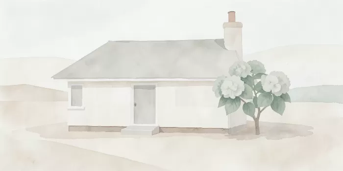 Beige Haven