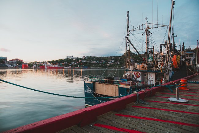 St John's Fishery - Newfoundland art print