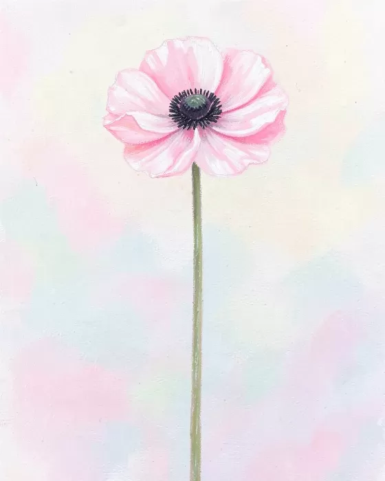 Soft Anemone