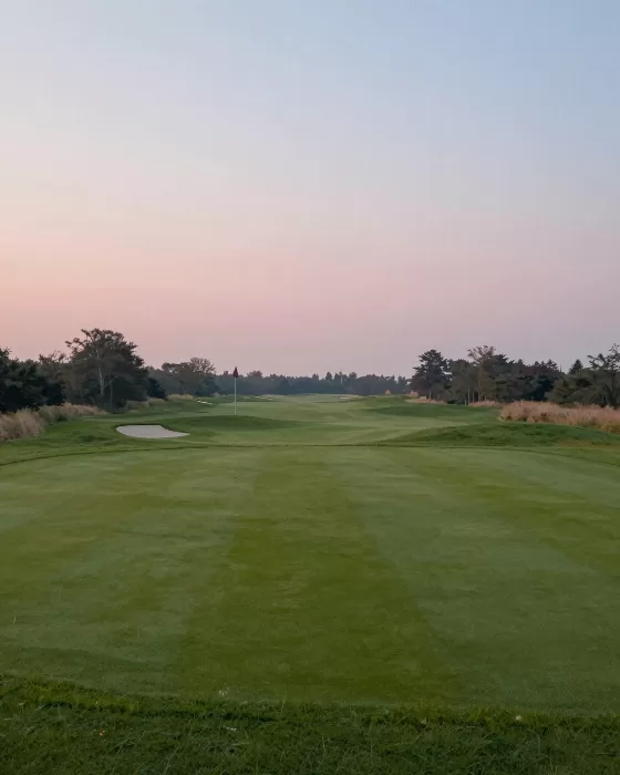 Gentle Greens