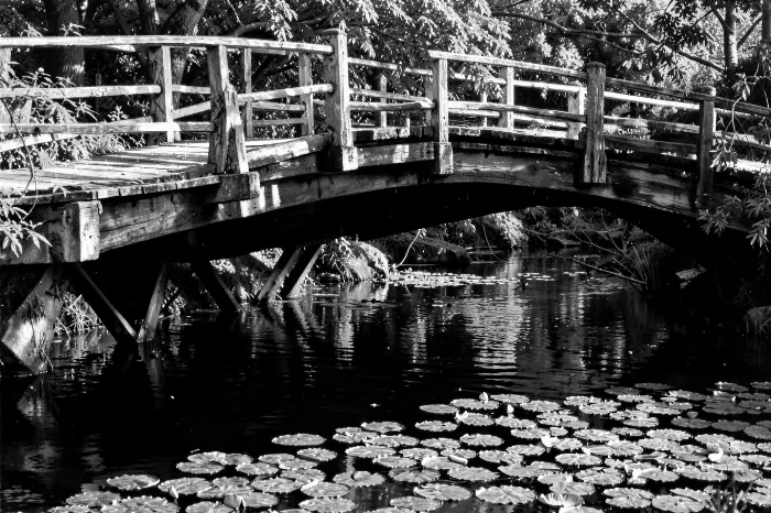 Bridge Study