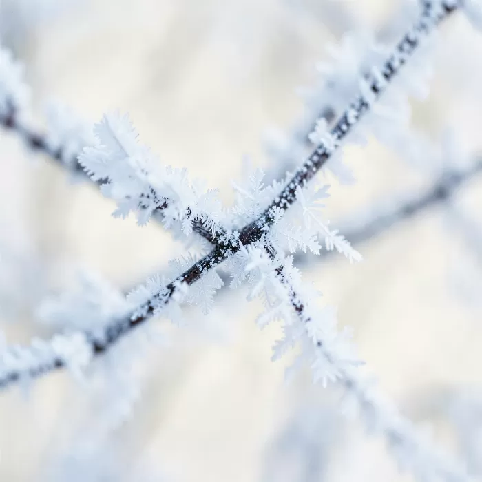 Rime Crystal