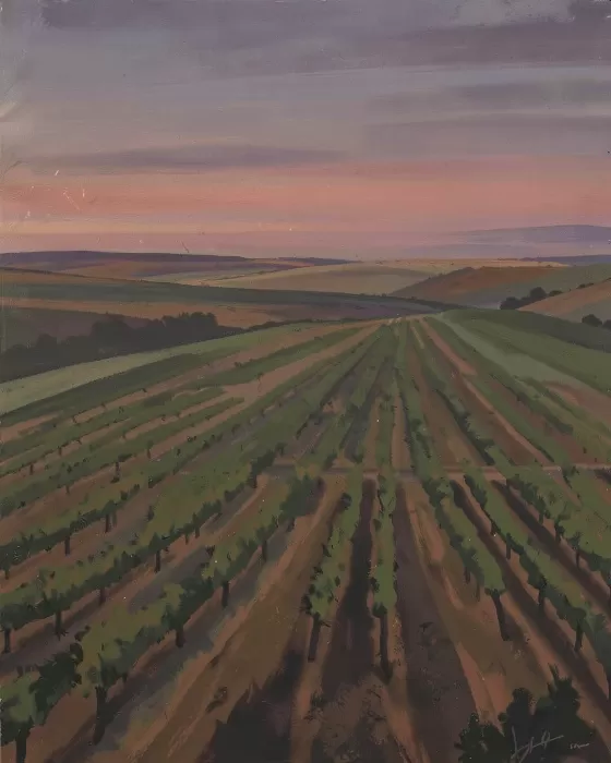 Vineyard Dusk
