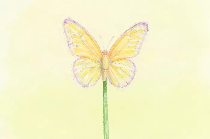 Citrine Rest