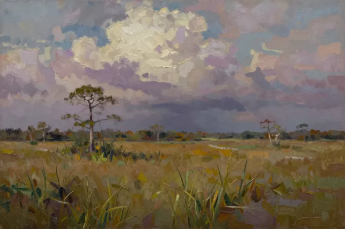 Sawgrass Storm