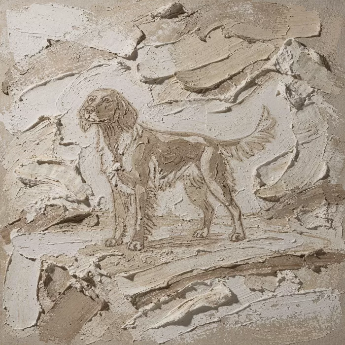 Plaster Setter