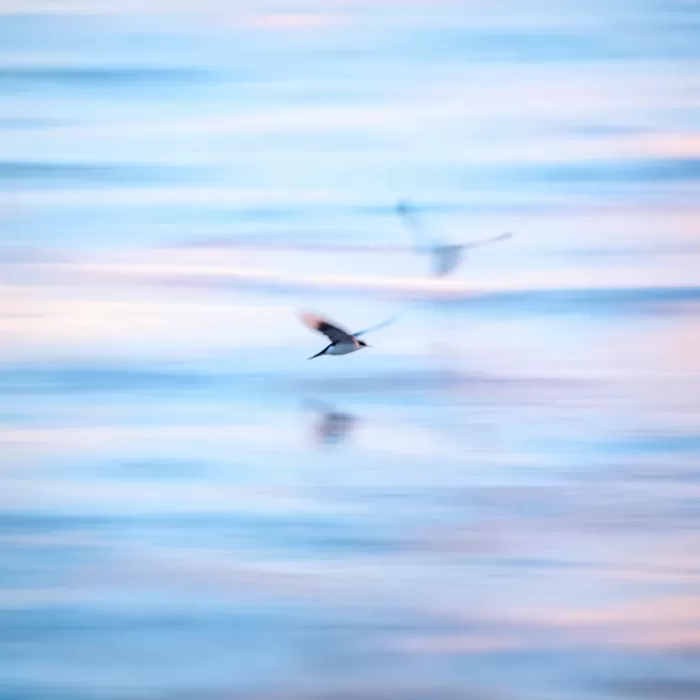 Silk Glide