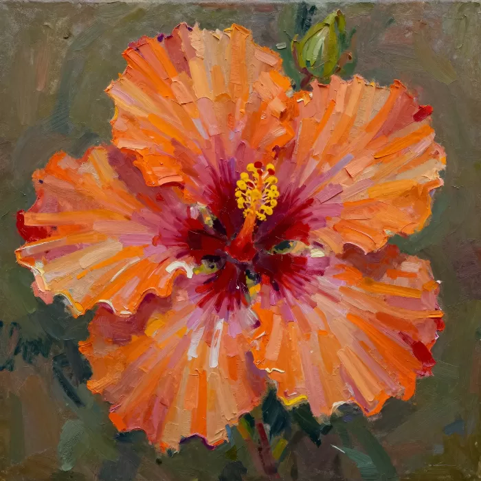 Orange Petals