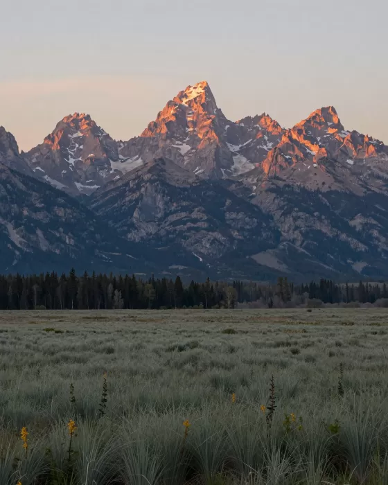 Teton Light