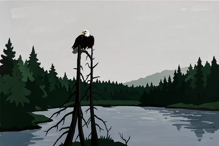 River Watch