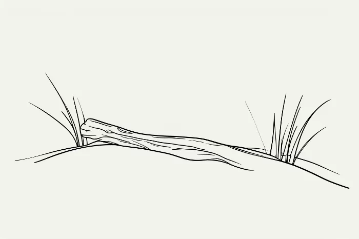 Driftwood Dune