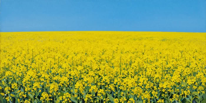 Prairie Gold
