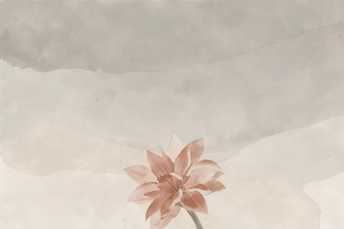 Quiet Dahlia