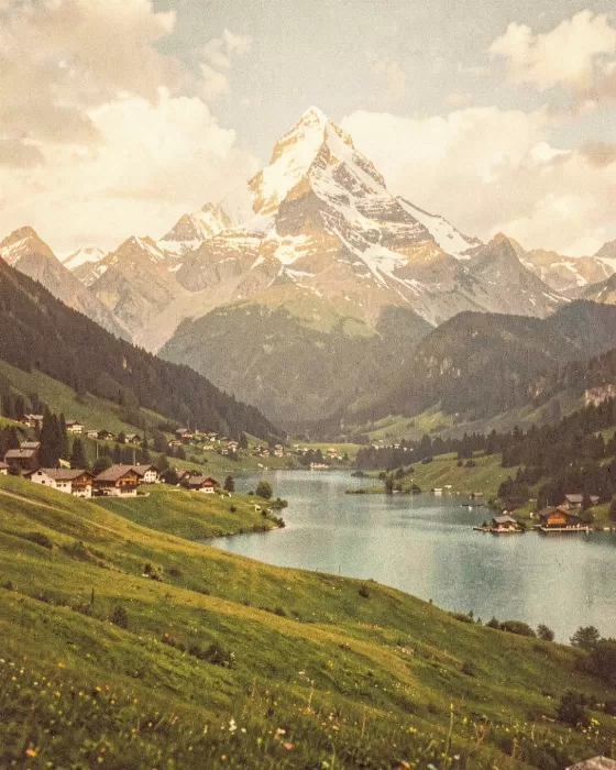 Jungfrau Meadows
