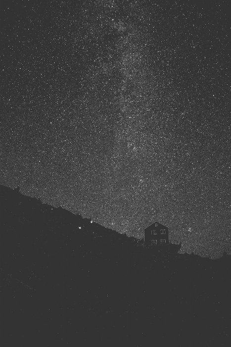 Star Gaze - Newfoundland art print