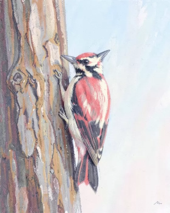 Woodpecker Perch