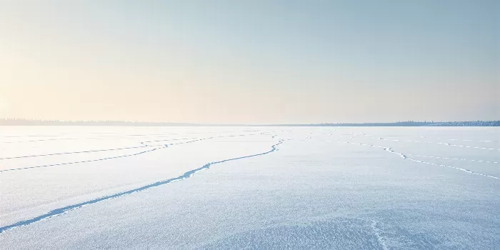 Frozen Dawn