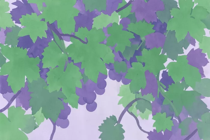 Grapevine Tendril