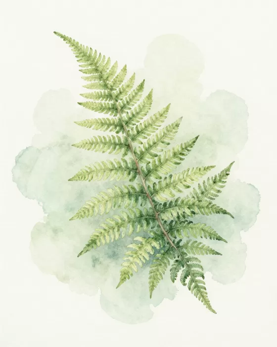 Green Frond