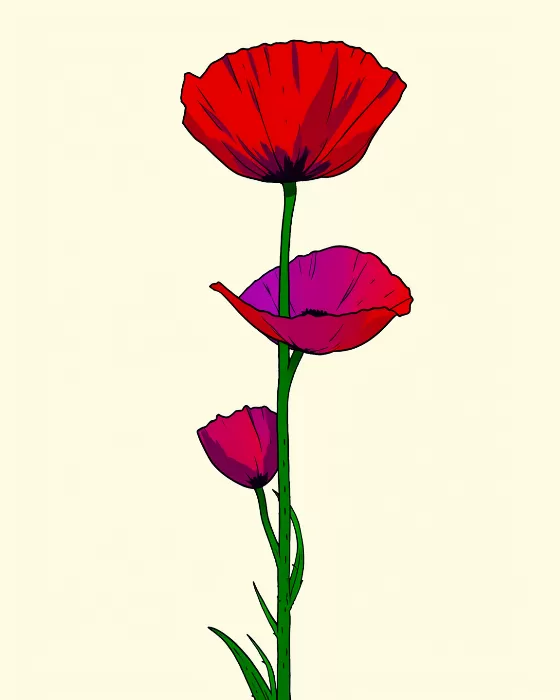 Poppy Stack