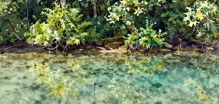 Daintree Inlet