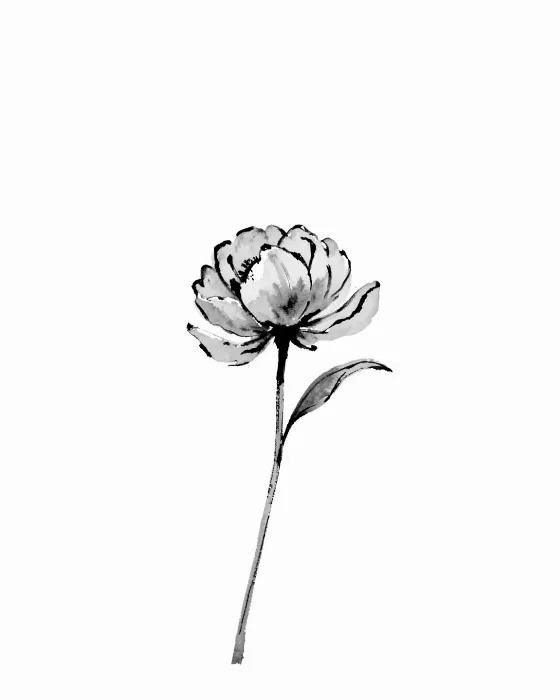 Black Bloom