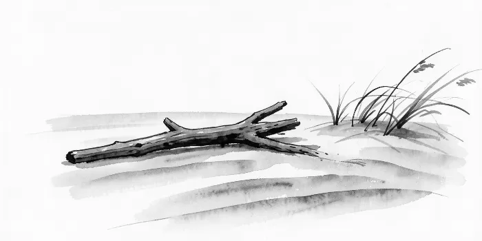 Windswept Beach