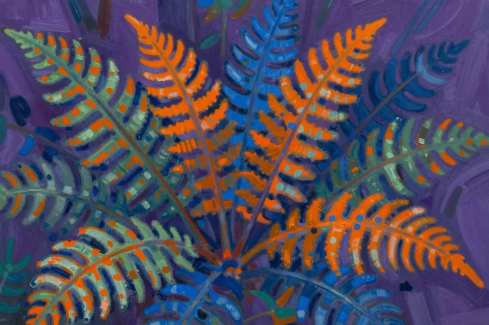 Ferns Blaze