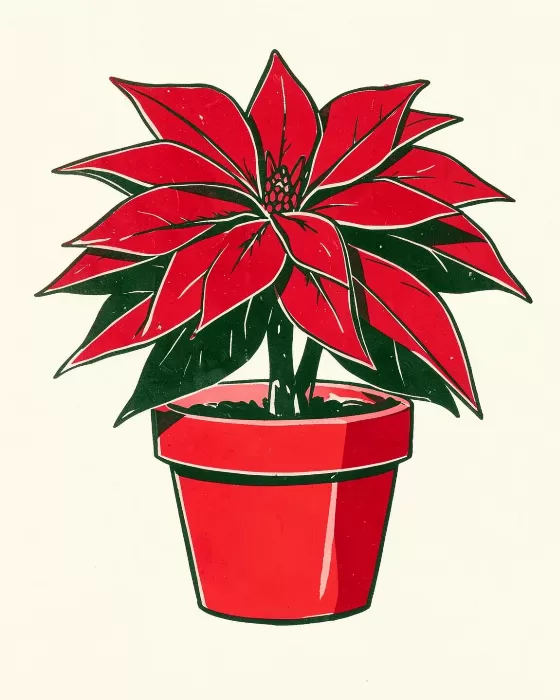 Poinsettia Pot
