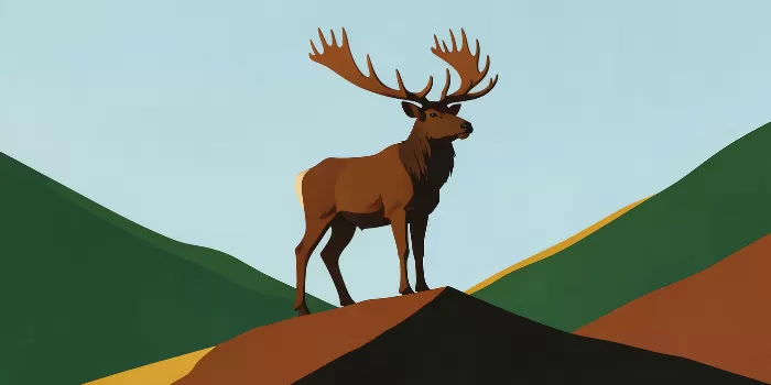 Summit Stag
