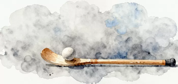 Lacrosse Elegance