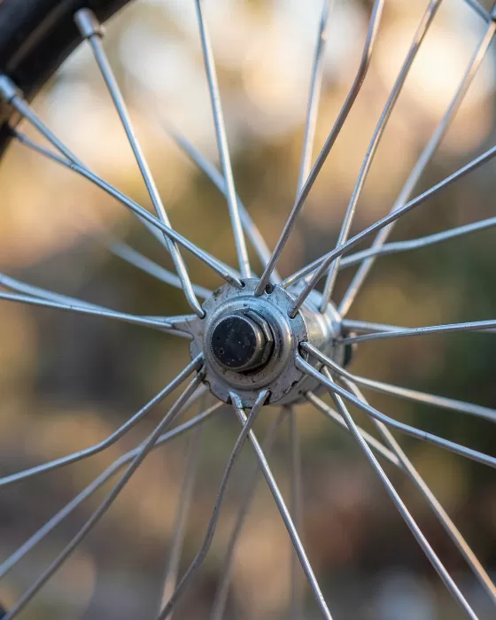 Spoke Light