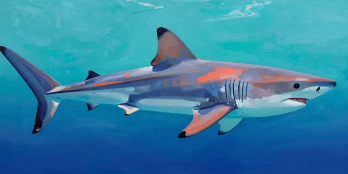 Turquoise Hunter