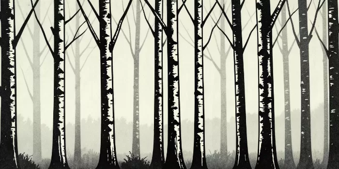 Misted Trunks