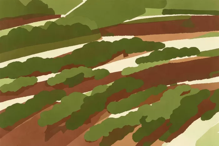 Napa Terraces