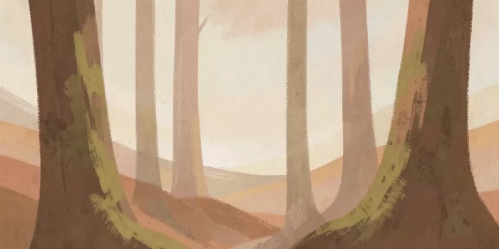 Forest Moss