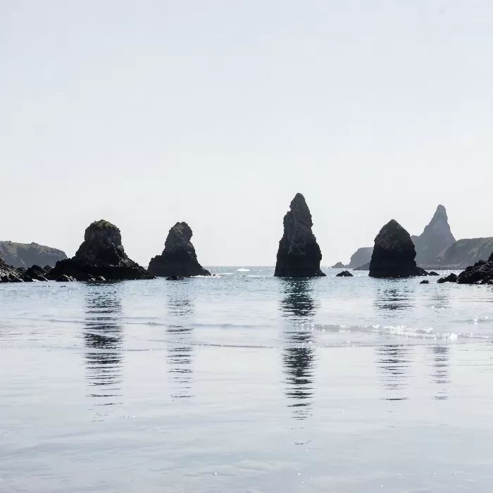 Silver Sea Stacks