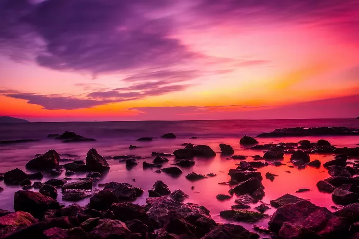 Purple beauty