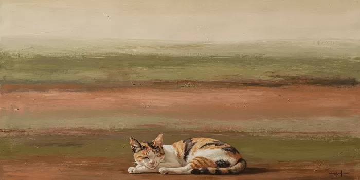 Catnap Calico