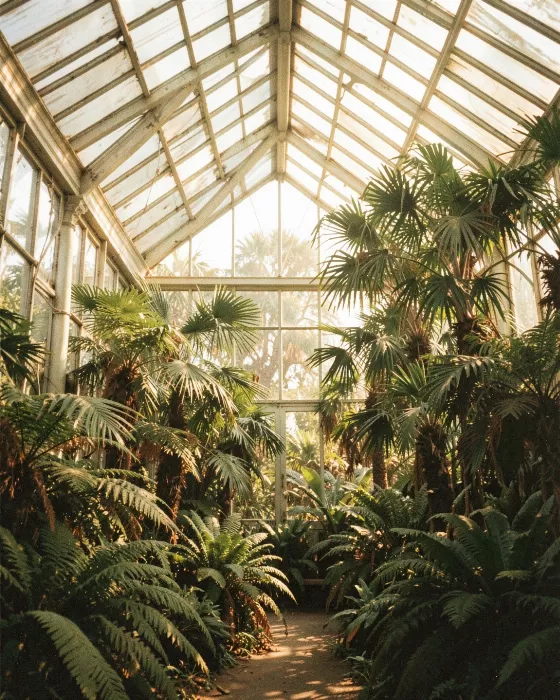 Conservatory Glasshouse